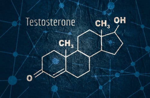 Testosterone and Its Types