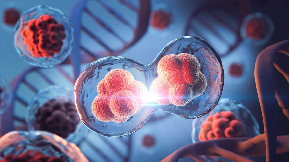 Stemcell Therapy Florida