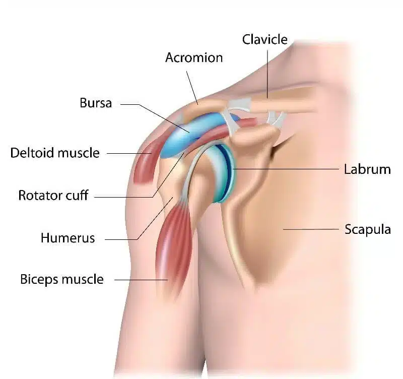 Shoulder Pain Treatment