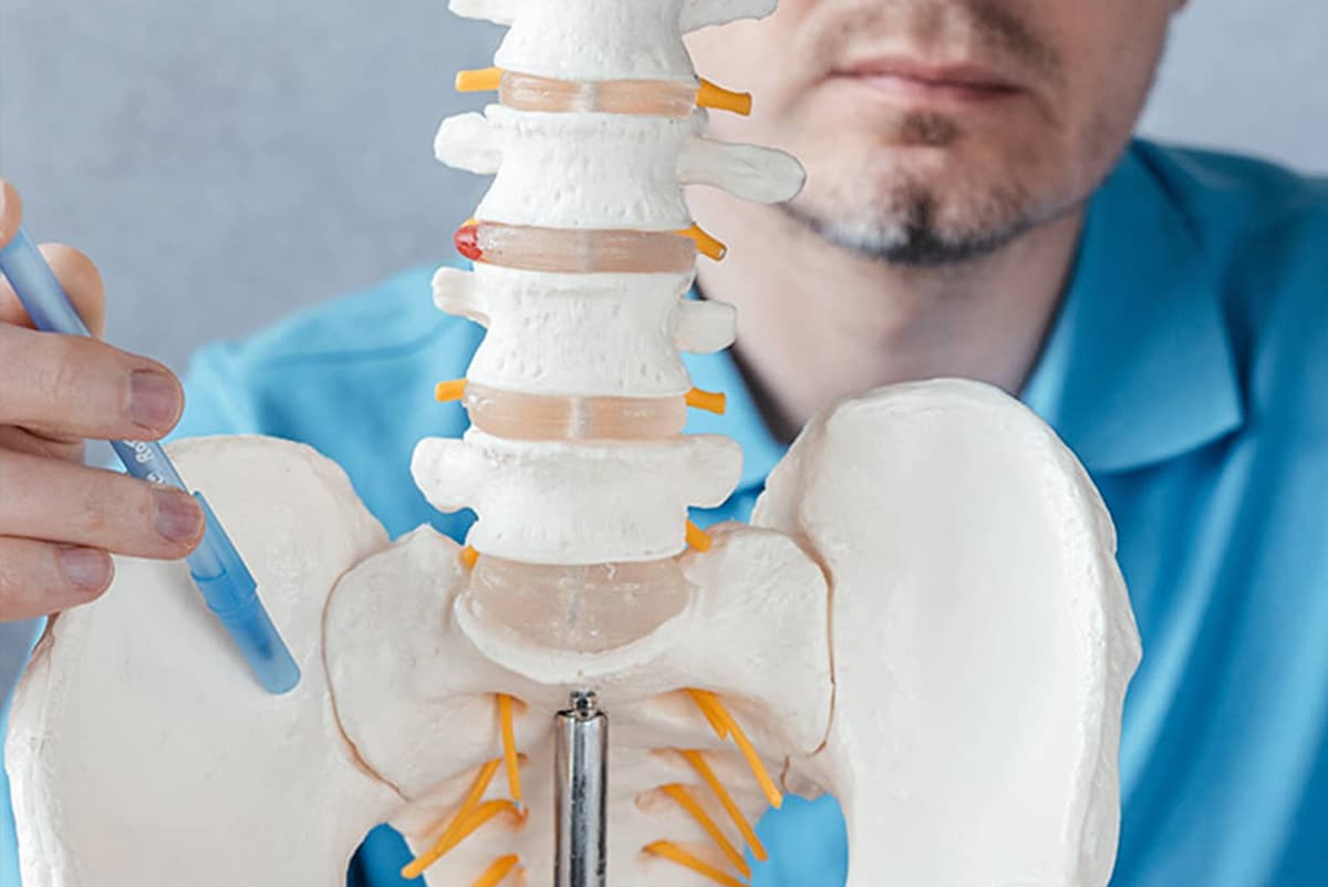 Sacroiliac Joints