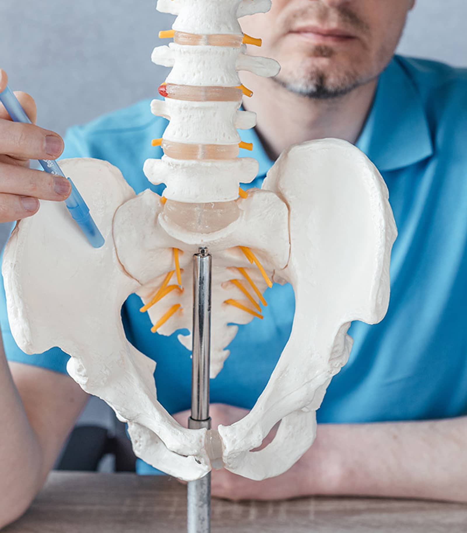 Sacroiliac Joints